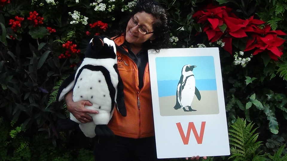 A presenter holding props from "P" is for Penguin