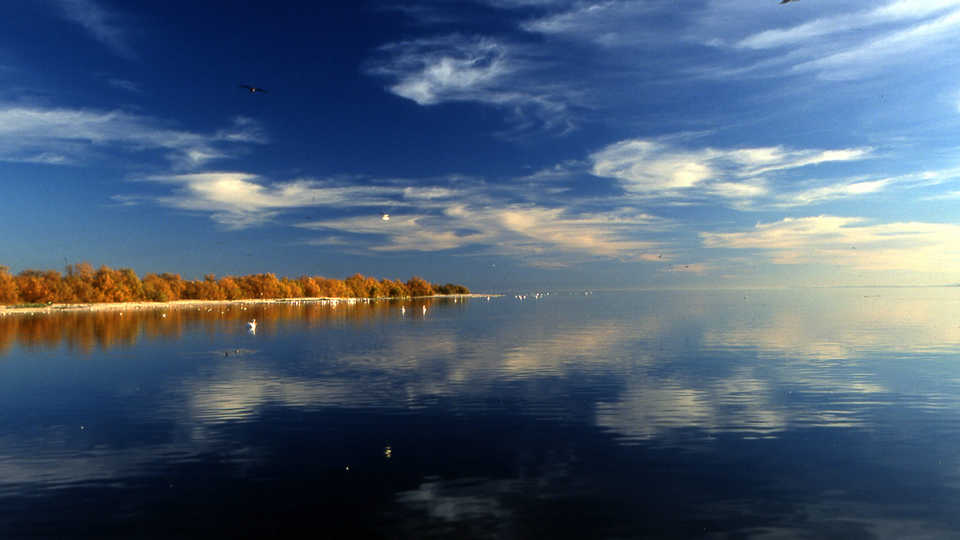 Salton Sea, public domain