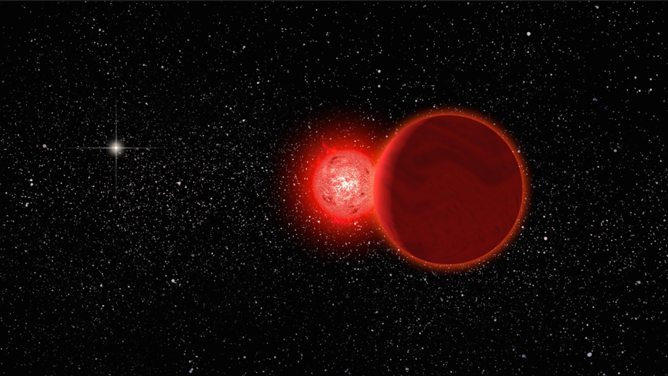 Scholz's star with its brown-dwarf companion