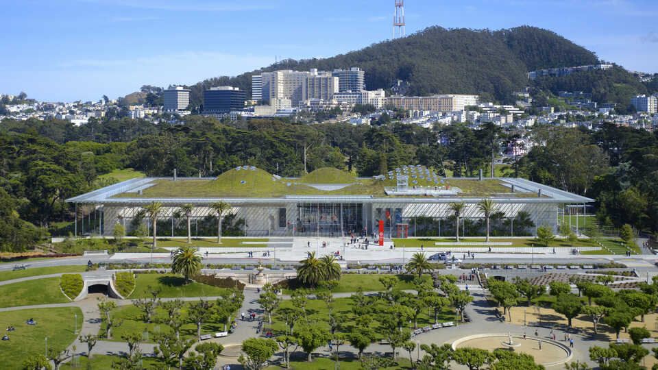 Academy building in Golden Gate Park