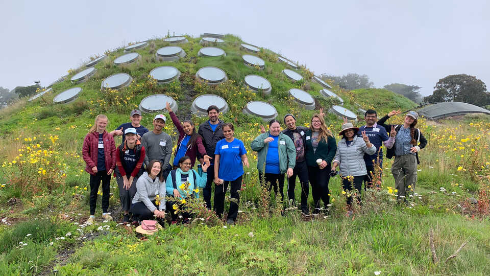 Volunteers from Oracle garden atop the Academy's Living Roof