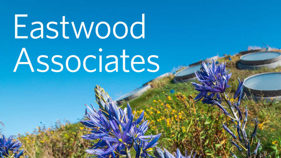Eastwood Associates banner image featuring Academy Living Roof with purple flowers