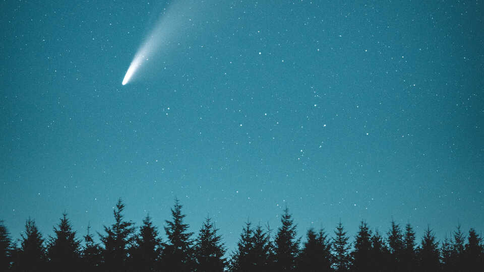 Comet Neowise streaking over Texas night sky with silhouettes of trees