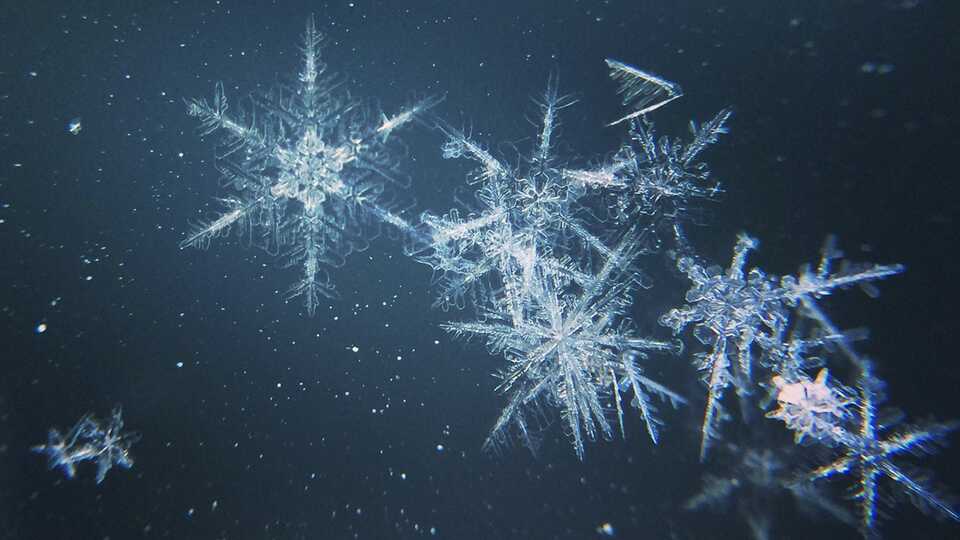 Macro photographs of snowflakes
