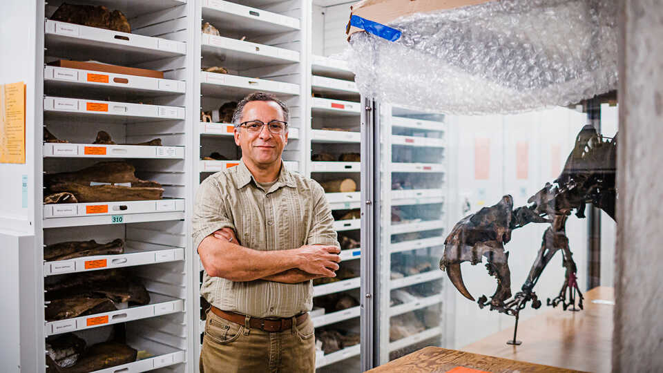 Dr. Peter Roopnarine stands in the Academy collections next to fossil of saber-toothed cat