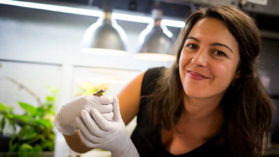 Rayna Bell holding a small tree frog in her lab