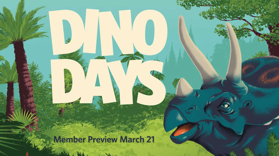 Illustration of horned dinosaur for Dino Days member preview