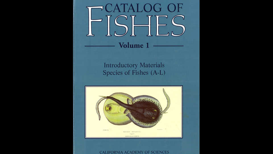 Eschmeyers Catalog Of Fishes California Academy Of Sciences - 