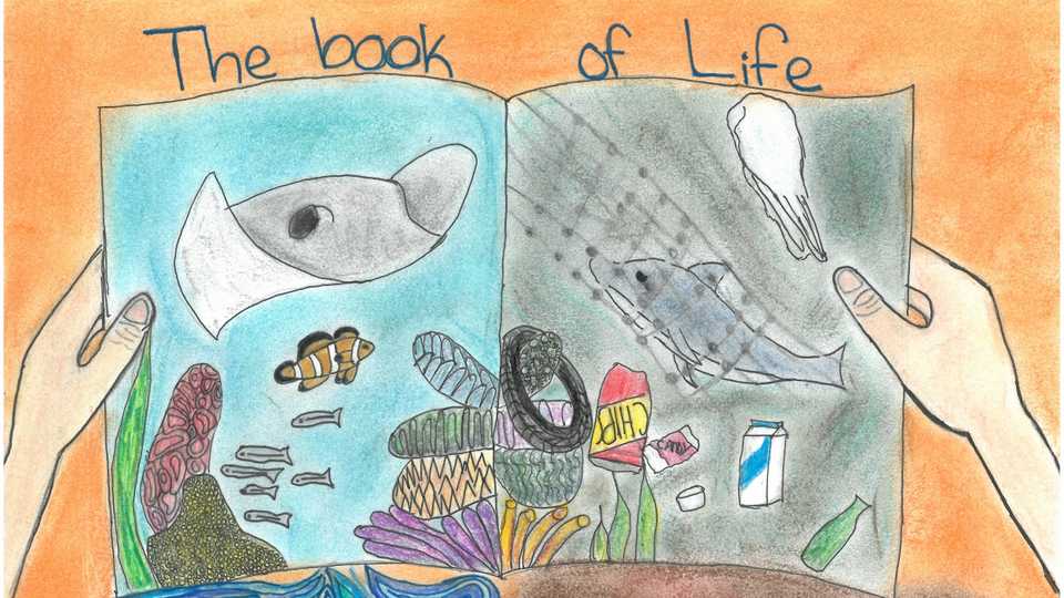 NOAA Marine Debris Program Art Contest | California Academy Of Sciences